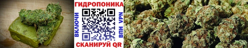 Купить где  Заполярный  Печенье с ТГК конопля 