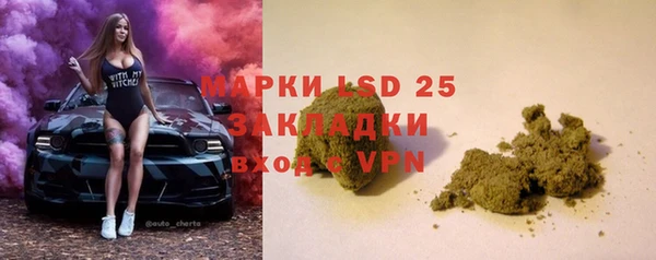стафф Алзамай
