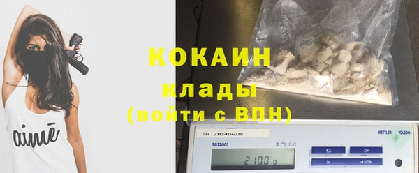 стафф Алзамай