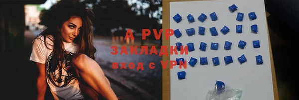 стафф Алзамай