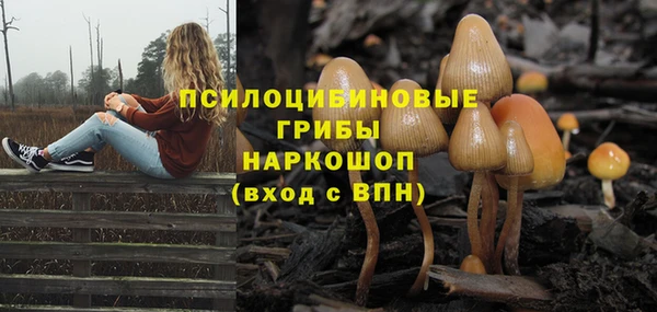 стафф Алзамай