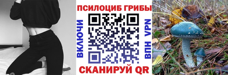 Галлюциногенные грибы MAGIC MUSHROOMS  Купить где  Заполярный 
